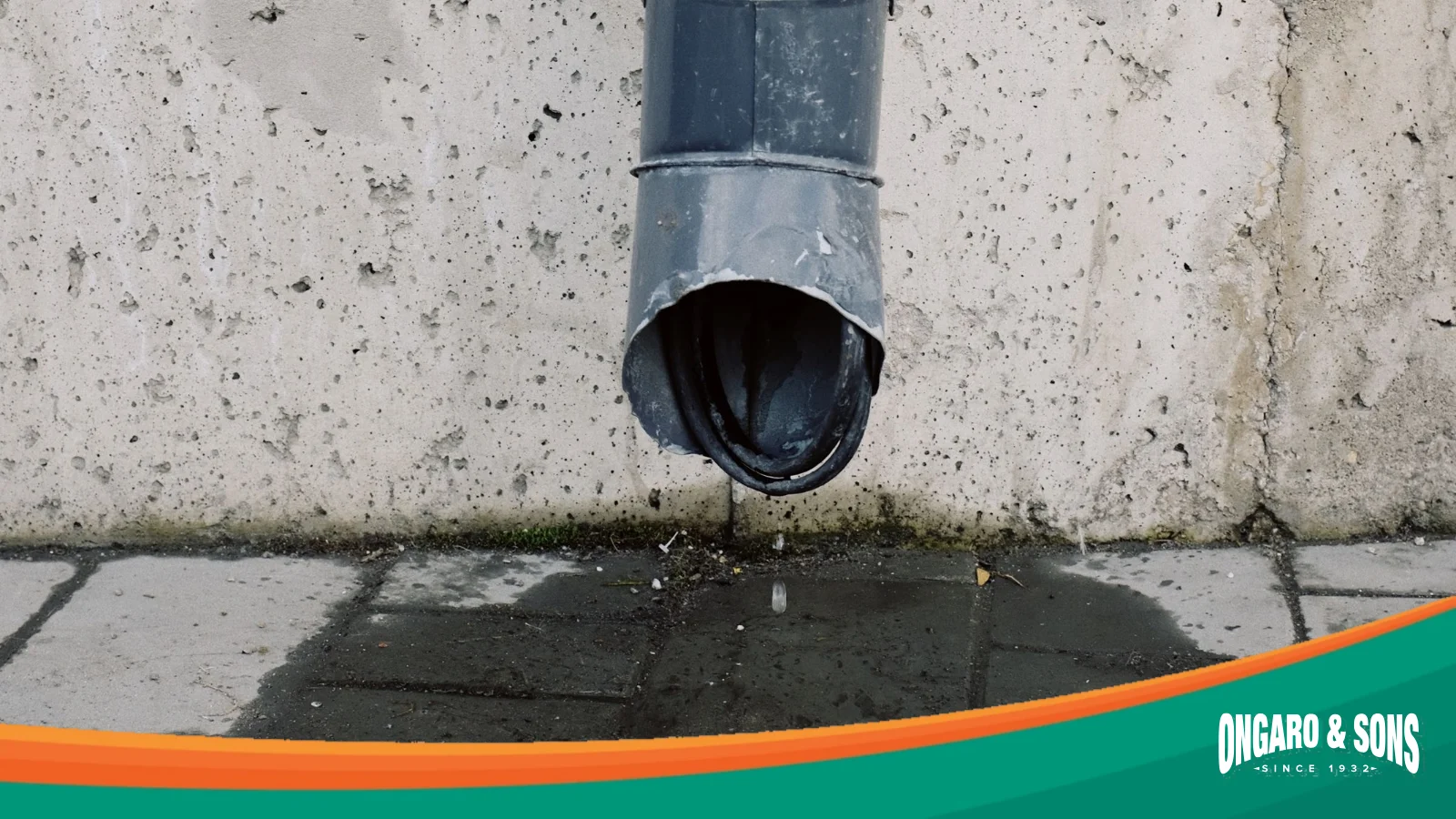 Water in Your Crawl Space After Rain: Causes, Fixes and When a Sump Pump Makes Sense