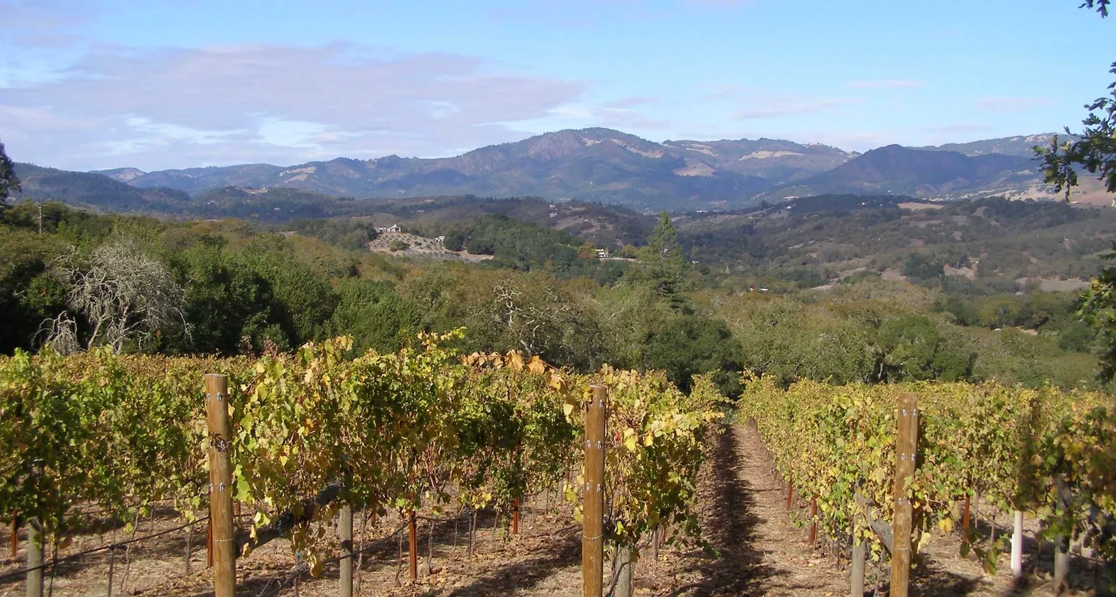 The Santa Rosa plain in Sonoma County, near Larkfield-Wikiup