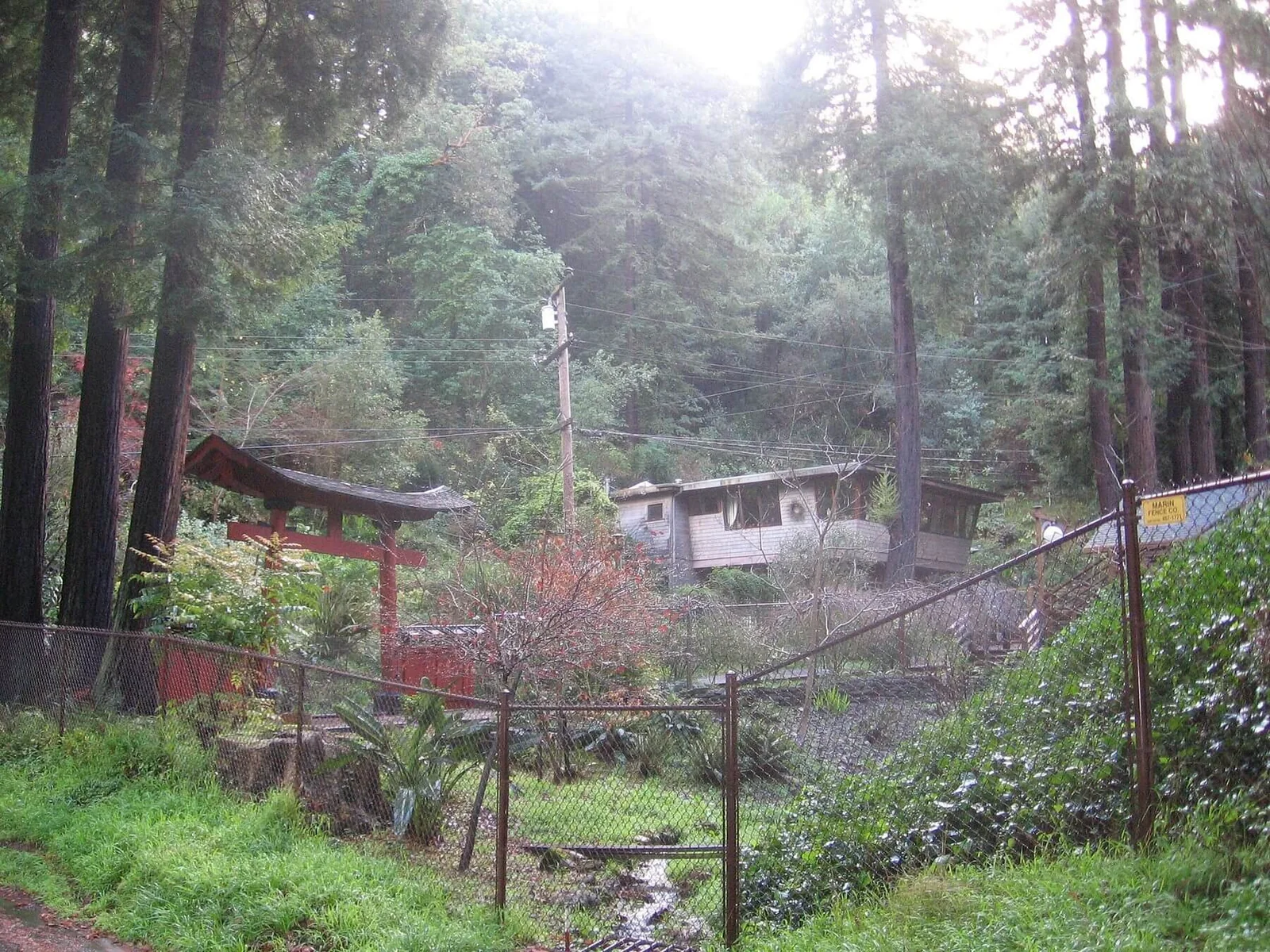 A street scene in Blithedale Canyon, Mill Valley