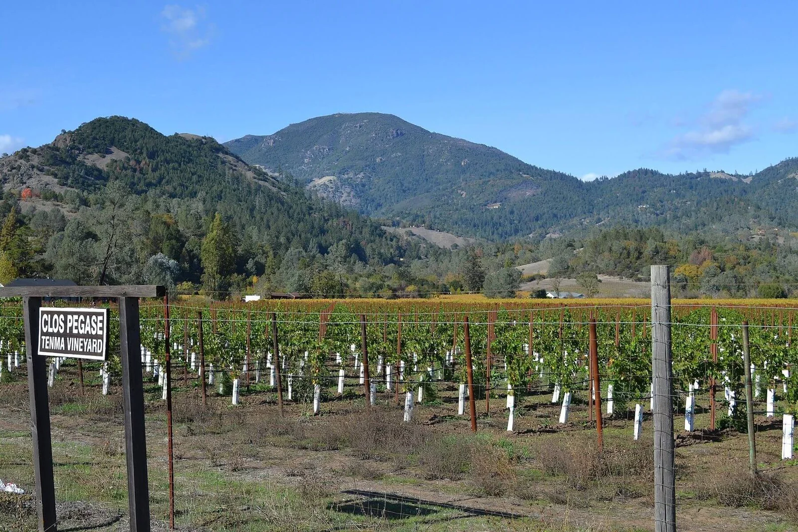 Mount Saint Helena viewed from Napa Valley