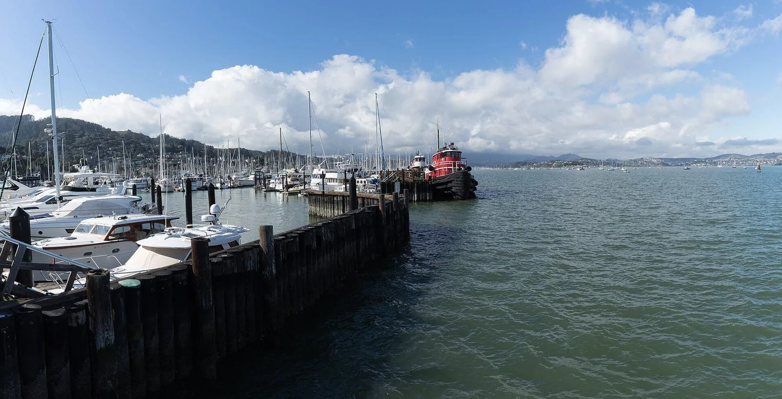 Sausalito Yacht Harbor seen from the end of Spinnaker Drive