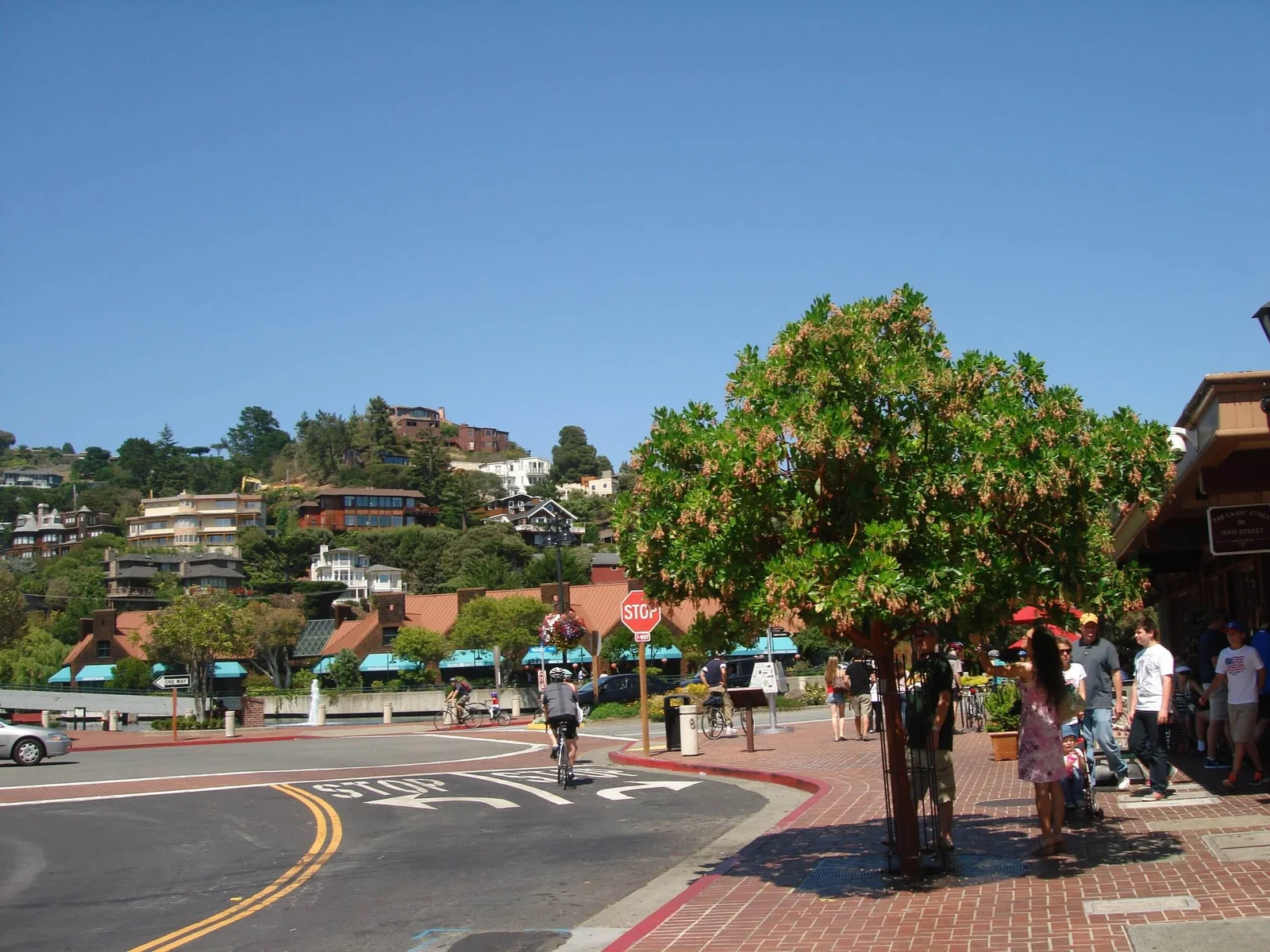 Houses on the hillside above the Tiburon waterfront