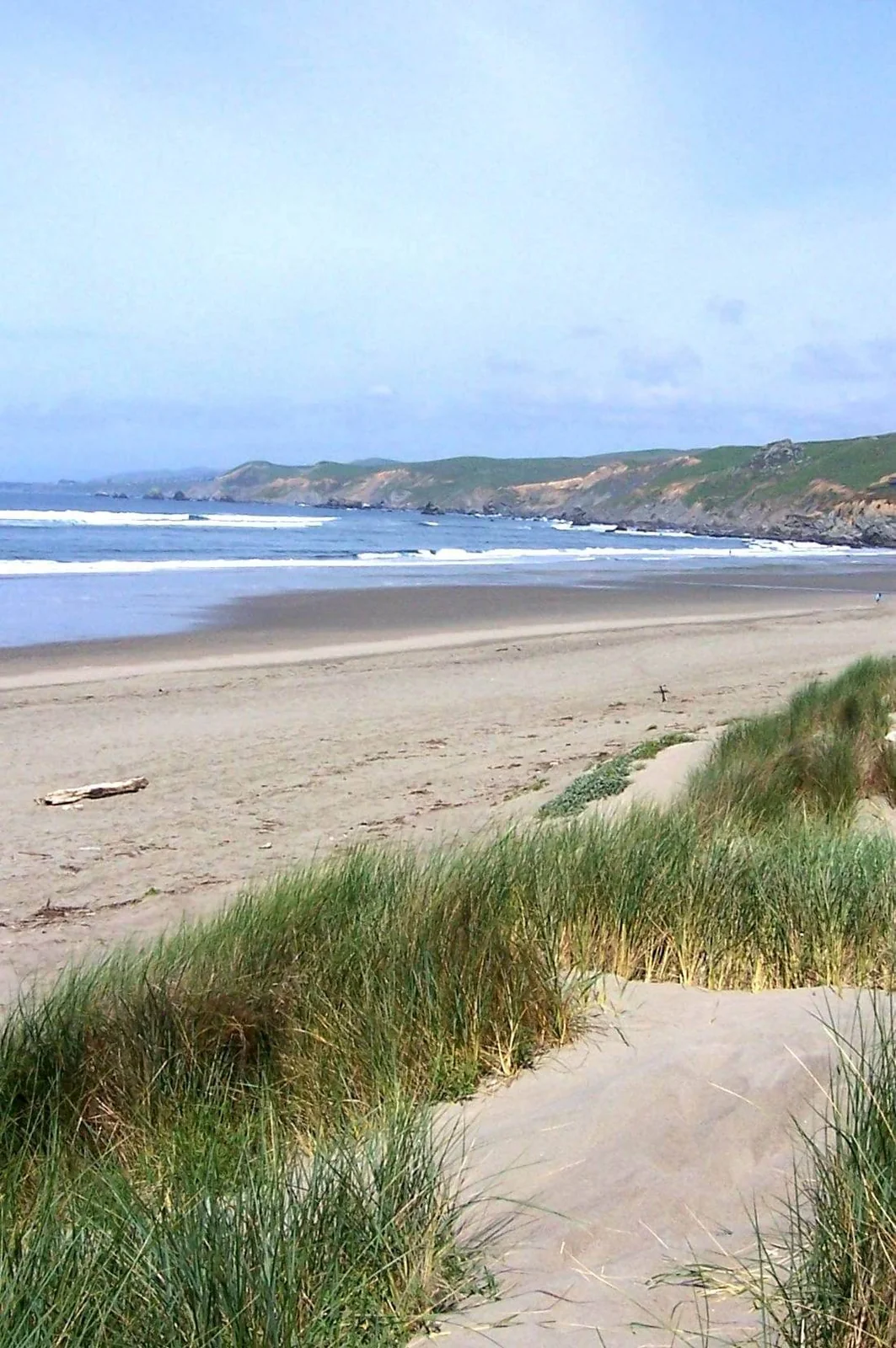 The beach and dunes below the bluff at Dillon Beach