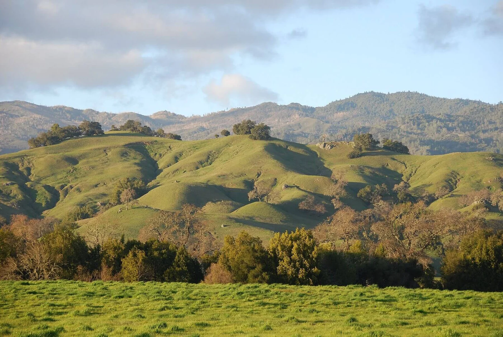 Rolling hills along Highway 29 in Napa Valley