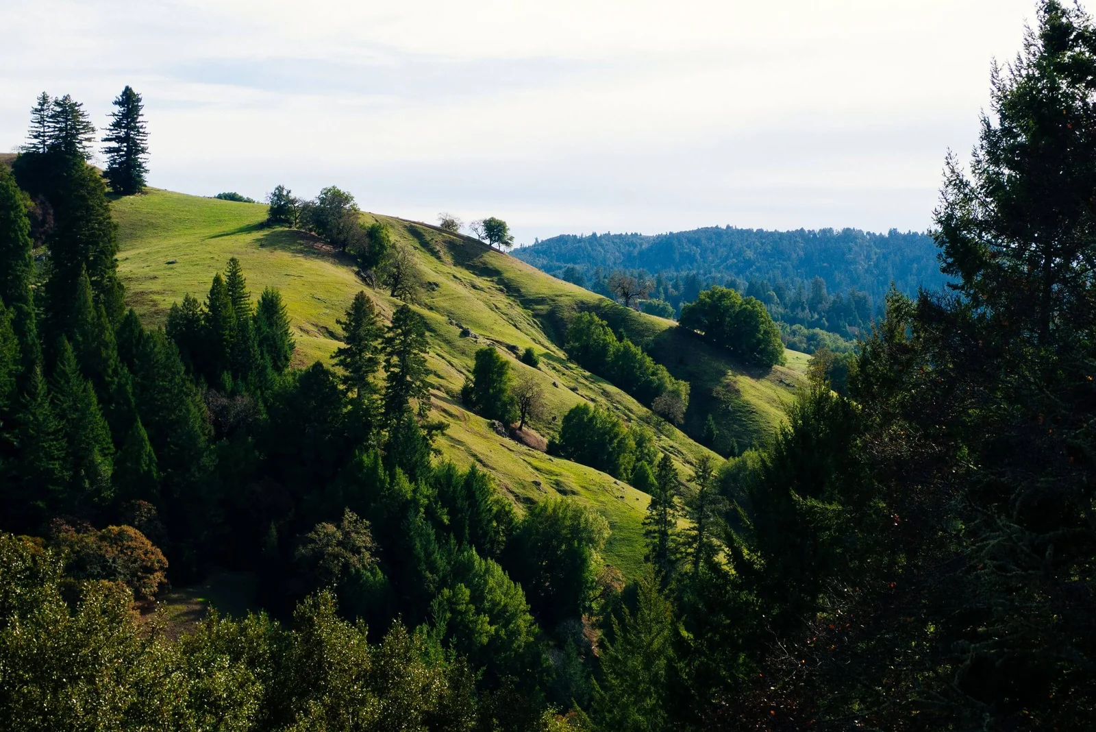 Green hills and redwood stands above the Cazadero canyon