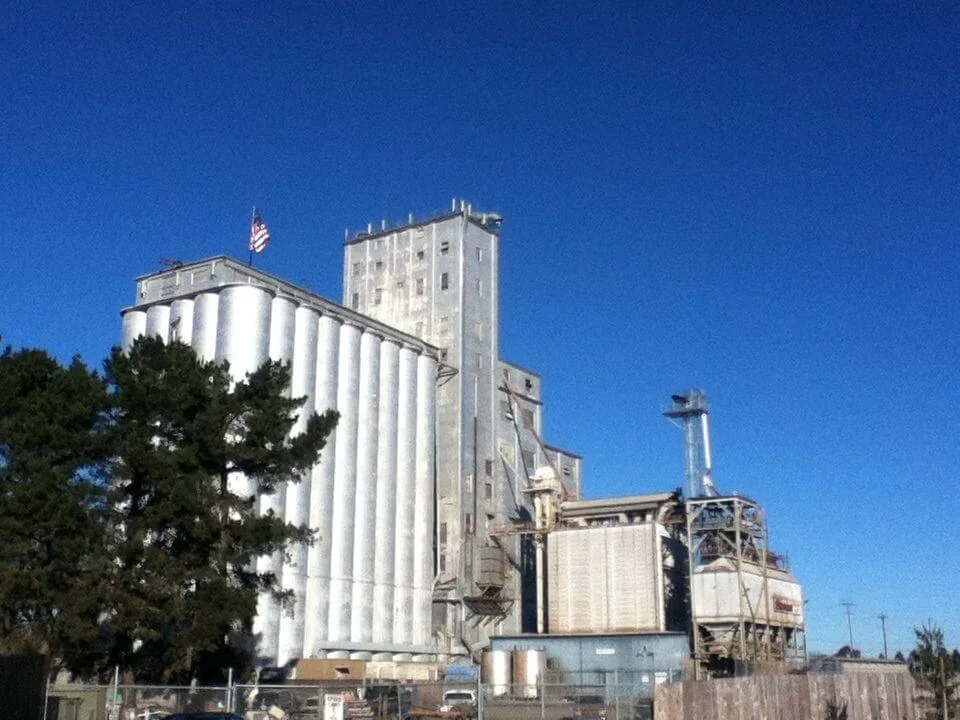 A grain elevator on the Petaluma River waterfront