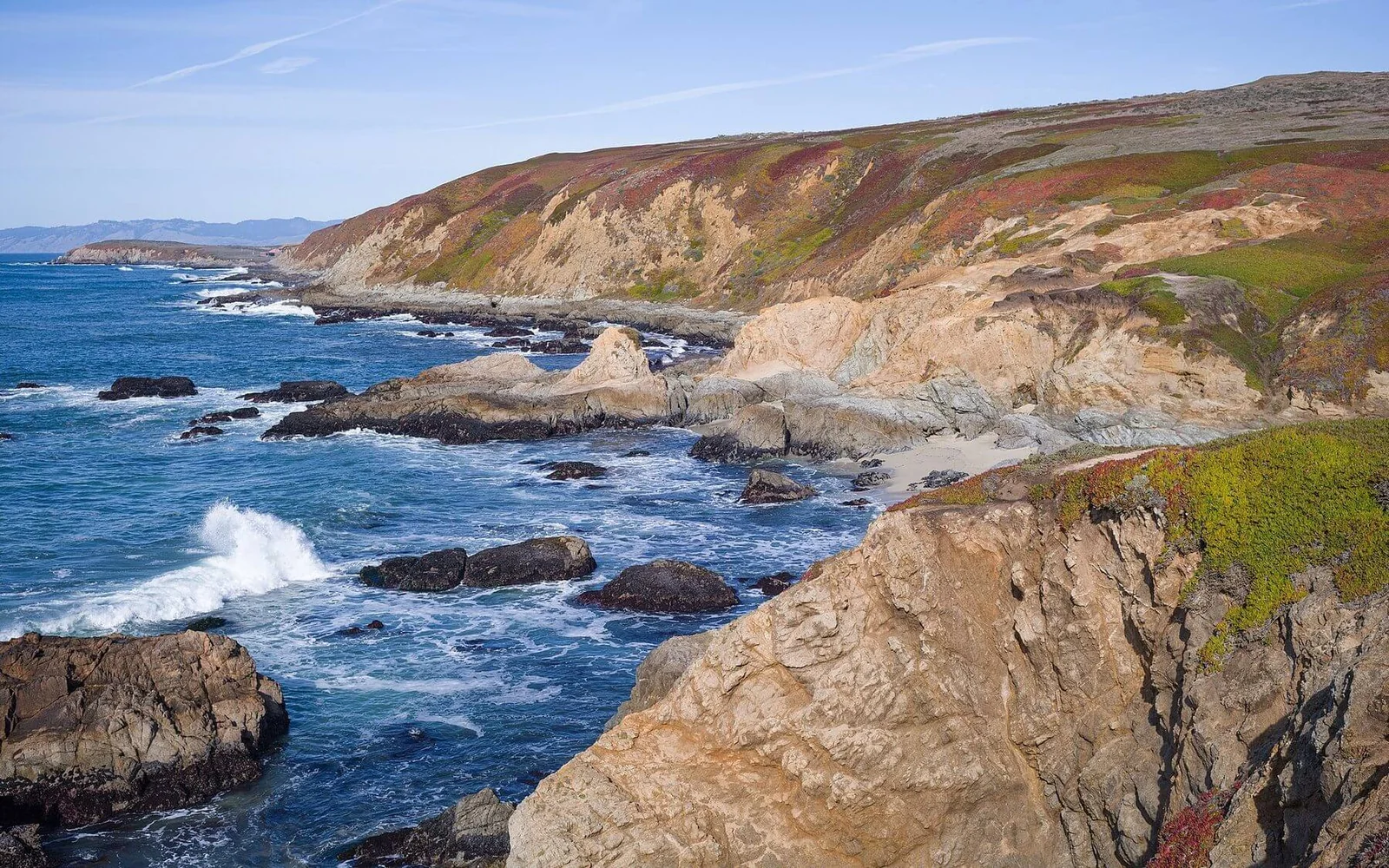 The Sonoma coastline seen from Bodega Head