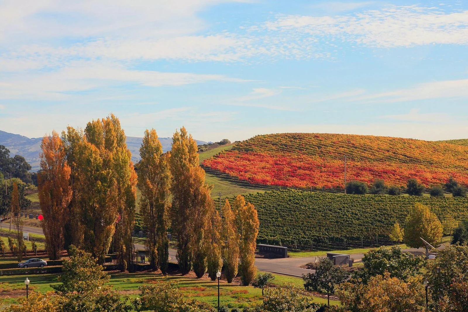 Autumn color across the vineyards of Napa Valley