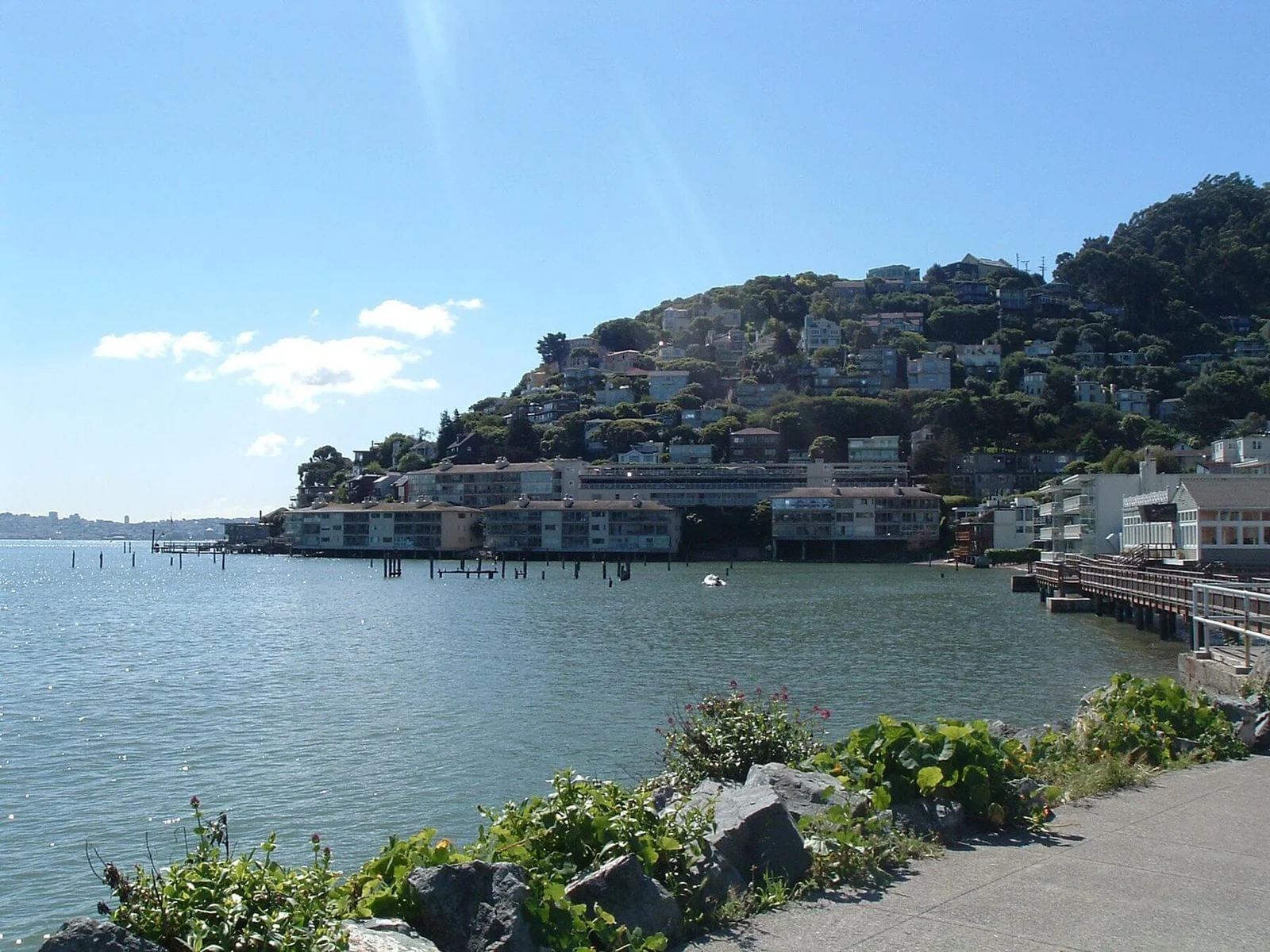 The Sausalito waterfront with homes rising up the hillside above the bay