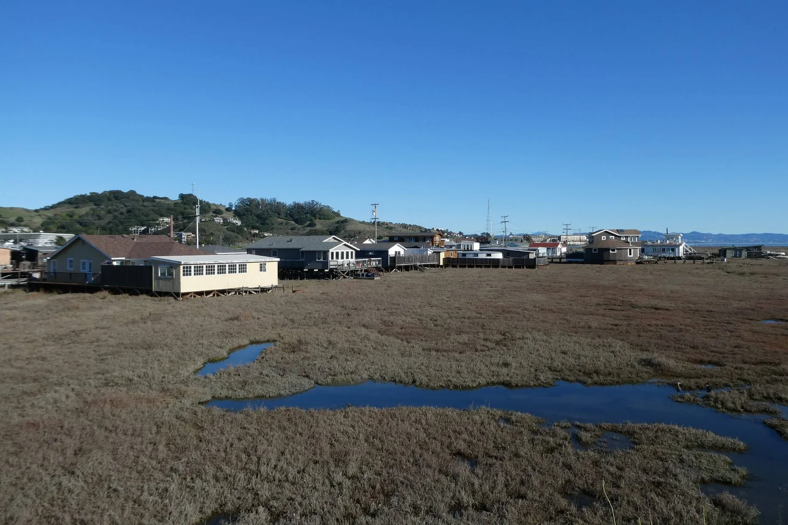 Houses at the edge of the tidal marsh in Greenbrae