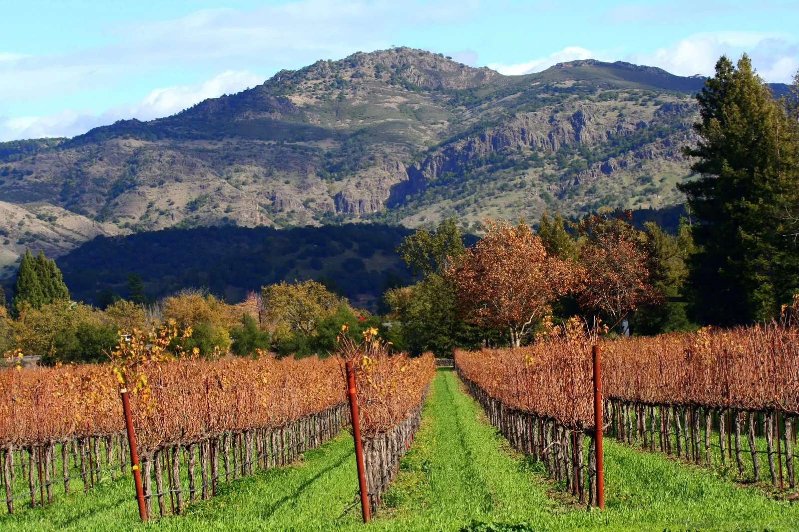 Upper Napa Valley, near Deer Park
