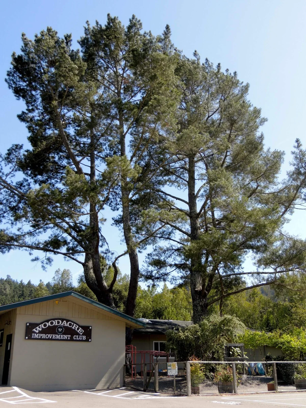 The Woodacre Improvement Club building in Woodacre, Marin County